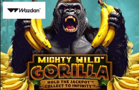 Game 8 Kiwi Treasure Casino